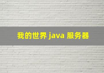 我的世界 java 服务器